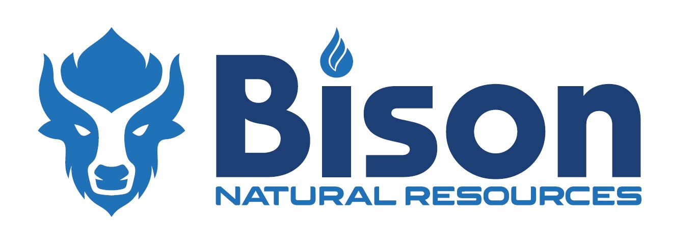 Bison II
